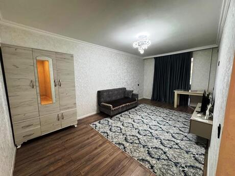 2 rooms · 33 m²