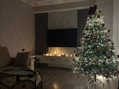 Elan №6558461 - Bakı, Bakıxanov q., 2 otaqlı, 85 m², 13/20 mərtəbə