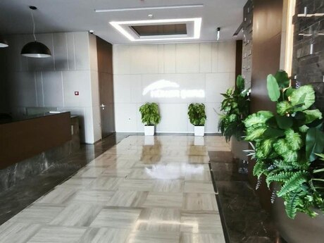 Объявление №6558779 - Баку, пос. Аг шехер, 2-комн., 65 м², 10/20 этаж