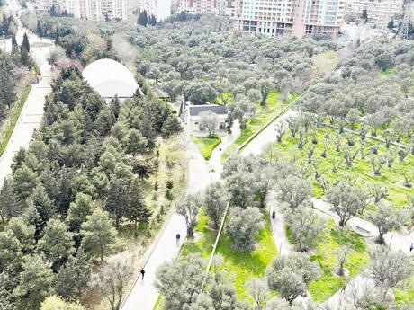 Nəsimidə 3 otaqlı yeni tikili mənzil satılır, 137 m², 365 000 AZN, şəkil 3 / 12
