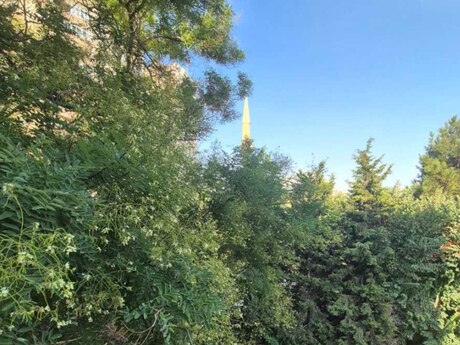 Elmlər Akademiyasında 2 otaqlı köhnə tikili mənzil satılır, 40 m², 160 000 AZN, şəkil 5 / 12