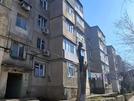 Elan №6559532 - Sumqayıt, Sumqayıt, 2 otaqlı, 45 m², 5/5 mərtəbə