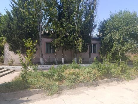 Elan №6559653 - Bakı, Binəqədi q., 7898 m²