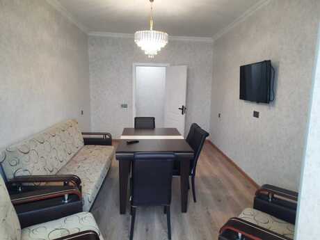 2 otaq · 50 m²