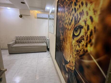 Elan №6560369 - Bakı, Elmlər Akademiyası m., 30 m²