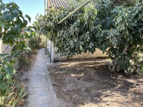 Albalılıqda 3 otaqlı həyət evi satılır, 65 m², 50 000 AZN, şəkil 2 / 12