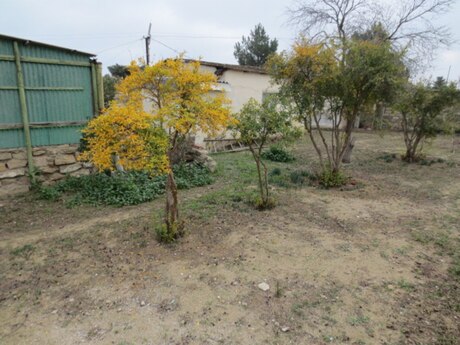 Albalılıqda 3 otaqlı həyət evi satılır, 65 m², 50 000 AZN, şəkil 4 / 12