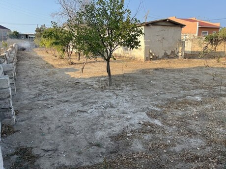 Albalılıqda 3 otaqlı həyət evi satılır, 65 m², 50 000 AZN, şəkil 5 / 12