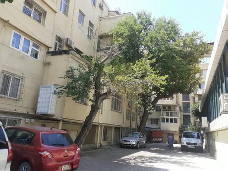 2-room old-build apartment for rent in 28 May, 55 m², 650 AZN/mo, photo 2 / 9