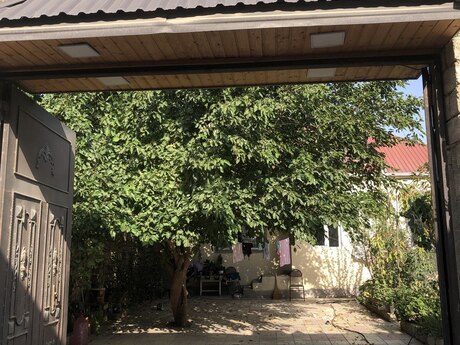 3 otaq · 120 m²