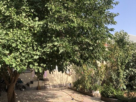 Yeni Ramanada 3 otaqlı həyət evi satılır, 120 m², 115 000 AZN, şəkil 3 / 10