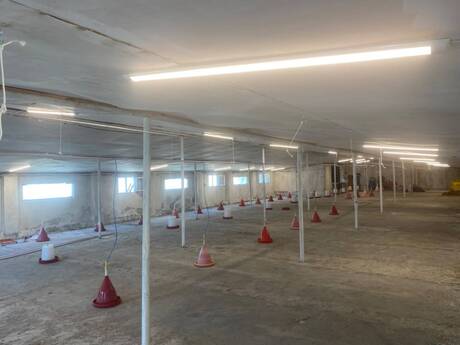 Elan №6561656 - Salyan, Salyan, 1500 m²