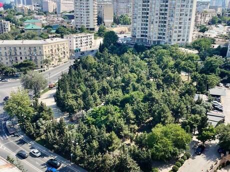 Продаётся 3-комнатная квартира в новостройке, İçəri Şəhər, 80 м², 250 000 AZN, фото 2 / 12