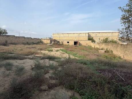 5 otaq · 135 m², Saray