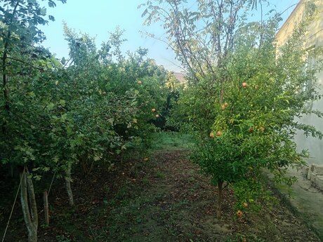 Maştağada 3 otaqlı həyət evi satılır, 100 m², 140 000 AZN, şəkil 3 / 9