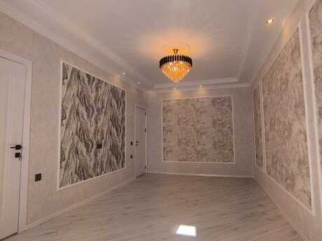2 otaq · 55 m²