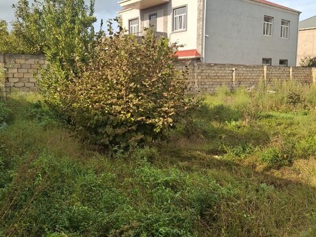 Объявление №6564177 - Баку, Сабунчинский  р., 5 сот