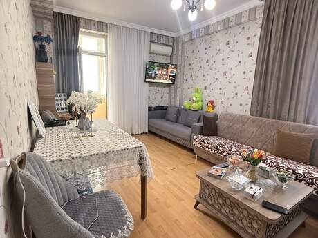 2 otaq · 66 m²