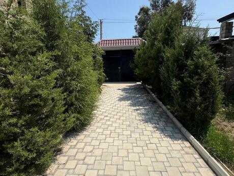 Elan №6564235 - Bakı, Badamdar q., 5 sot