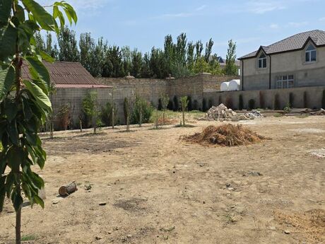 Elan №6565424 - Bakı, Gənclik m., 7.2 sot