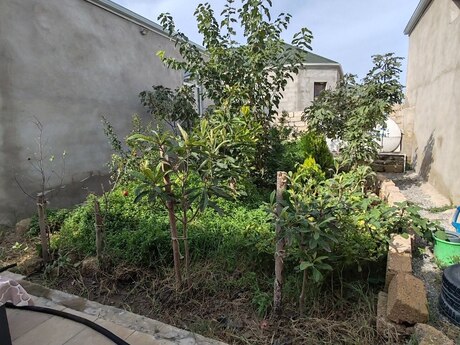 Binədə 3 otaqlı həyət evi satılır, 80 m², 65 000 AZN, şəkil 3 / 12