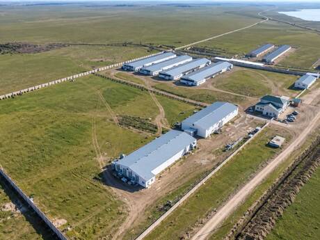 Elan №6564684 - Bakı, Qaradağ r., 40000 m²