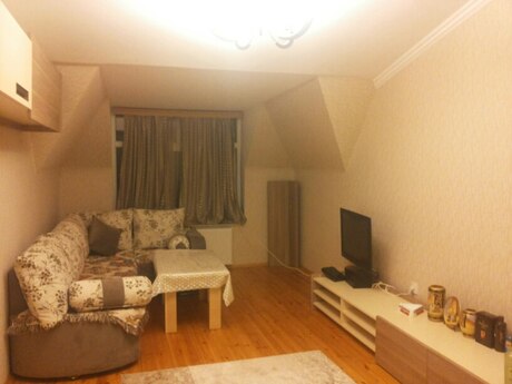 2 otaq · 81 m²