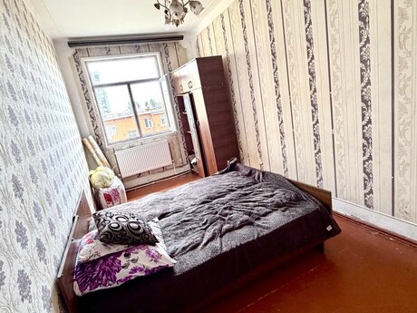 2 otaq · 55 m²