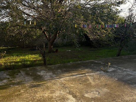 Novxanıda 6 otaqlı həyət evi satılır, 170 m², 130 000 AZN, şəkil 4 / 10