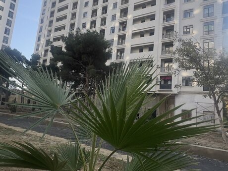 Parking space for sale in Əhmədli, 21 m², 17 500 AZN, photo 3 / 4