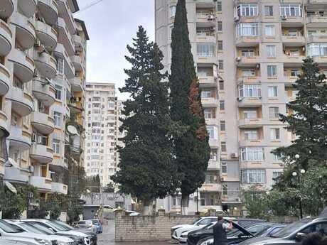 Объявление №6567012 - Баку, м. Ази Асланов, 2-комн., 62 м², 9/16 этаж