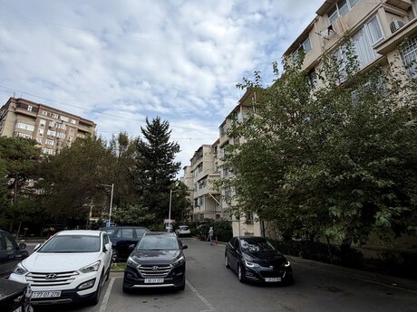 2 otaq · 40 m²