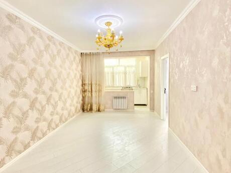 3 otaq · 72 m²