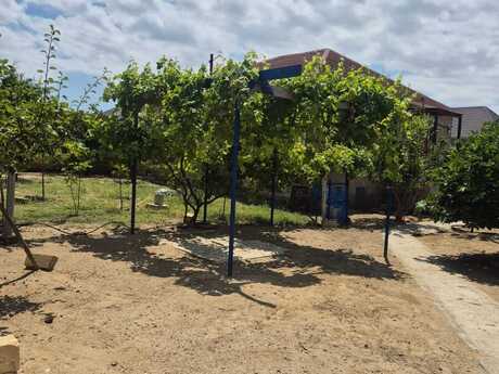 3 otaq · 88 m², Saray