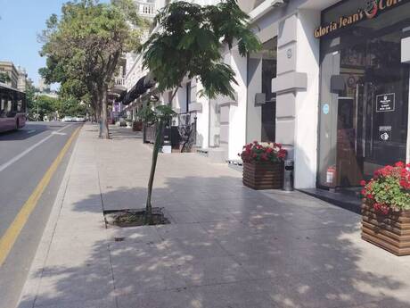 Elan №6567503 - Bakı, İçəri Şəhər m., 60 m²