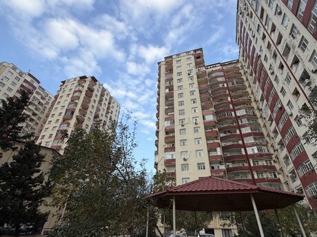2 otaq · 46 m²