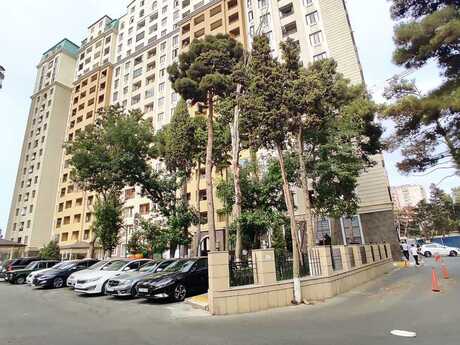 Elan №6568293 - Bakı, Memar Əcəmi m., 2 otaqlı, 80 m², 11/17 mərtəbə