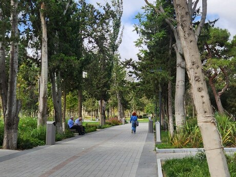 28 Mayda 1 otaqlı köhnə tikili mənzil kirayə verilir, 40 m², 225 AZN/ay, şəkil 2 / 6