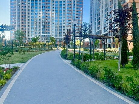 3-комн. · 80 m²