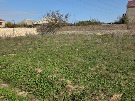 Elan №6577356 - Bakı, Buzovna q., 7 sot