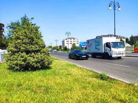 Elan №6578706 - Bakı, Bakıxanov q., 47 sot