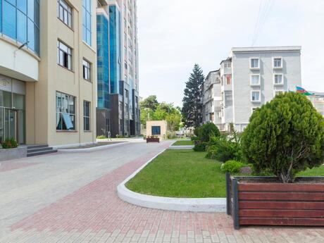 Объявление №6579536 - Баку, м. Низами, 3-комн., 170 м², 10/20 этаж