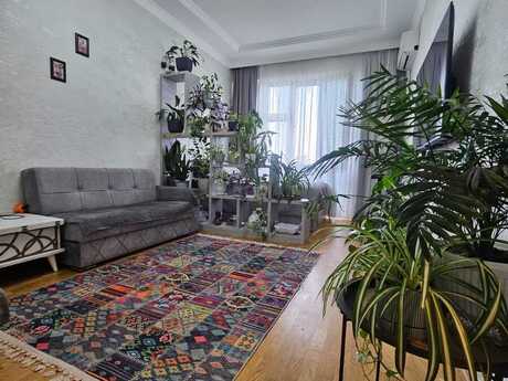 Объявление №6581838 - Баку, м. Иншаатчылар, 1-комн., 50 м², 7/15 этаж