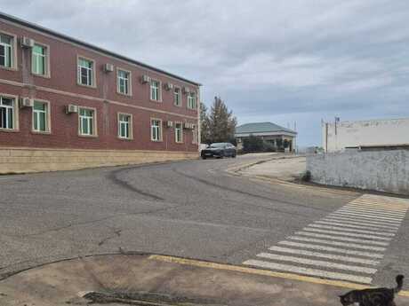 Объявление №6583370 - Баку, пос. Зых, 16000 м²
