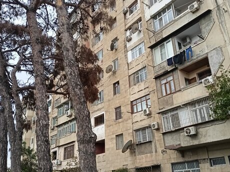 Объявление №6583752 - Баку, Сабунчинский  р., 635 м²