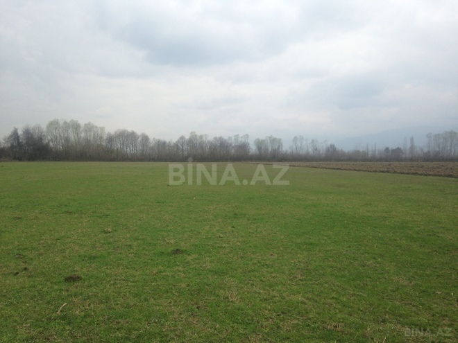 Участок - Товуз - 131 сот (3)