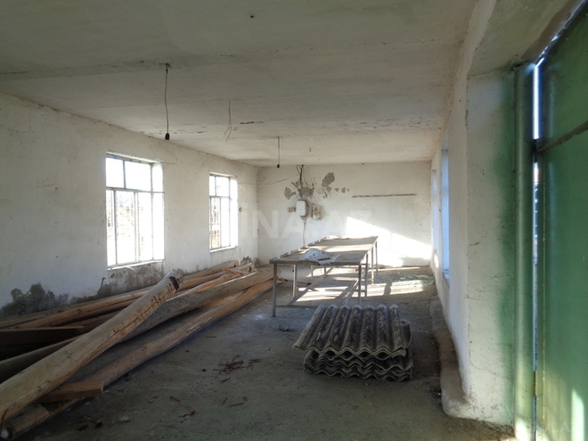 Obyekt - Zaqatala - 517 m² (6)