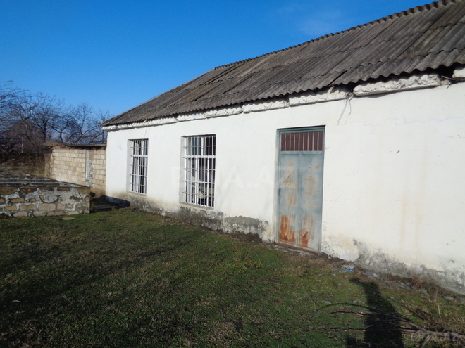 Obyekt - Zaqatala - 517 m² (7)