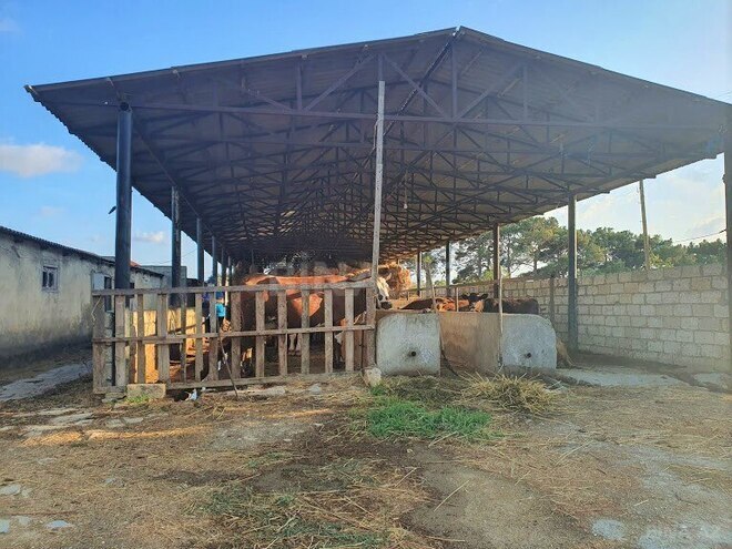 Satılır  obyekt 2 500 m², Maştağa q., photo 28 from 32