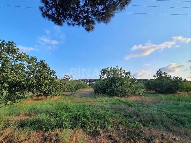 Satılır  obyekt 2 500 m², Maştağa q., photo 19 from 32